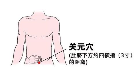 天元穴|关元穴每天揉几次一次揉多久